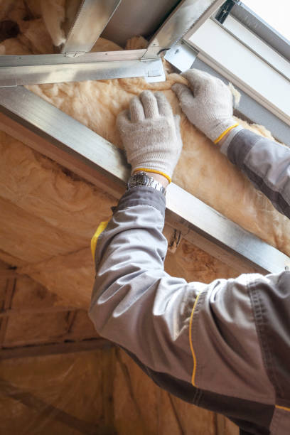 Types of Insulation We Offer in Pisgah, AL